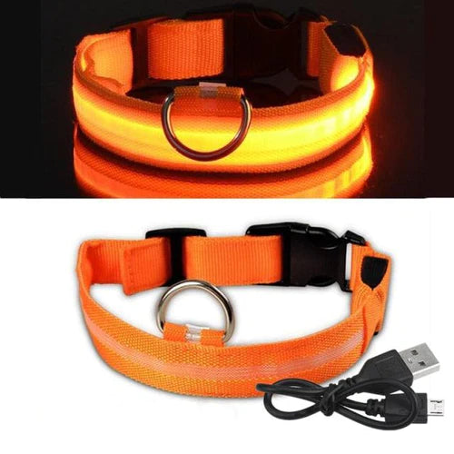 Coleira LED para cachorro - Carregador USB