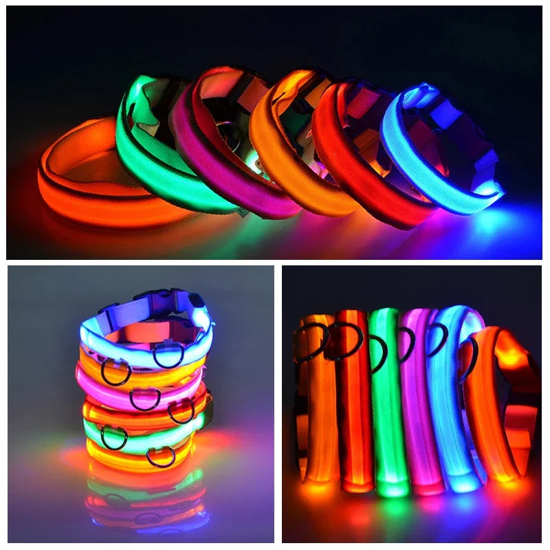 Coleira LED para cachorro - Carregador USB