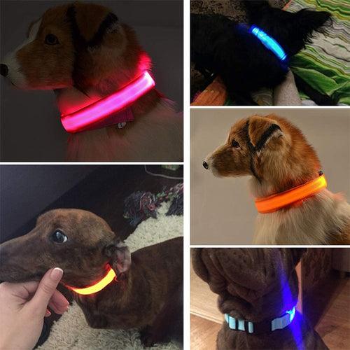 Coleira LED para cachorro - Carregador USB